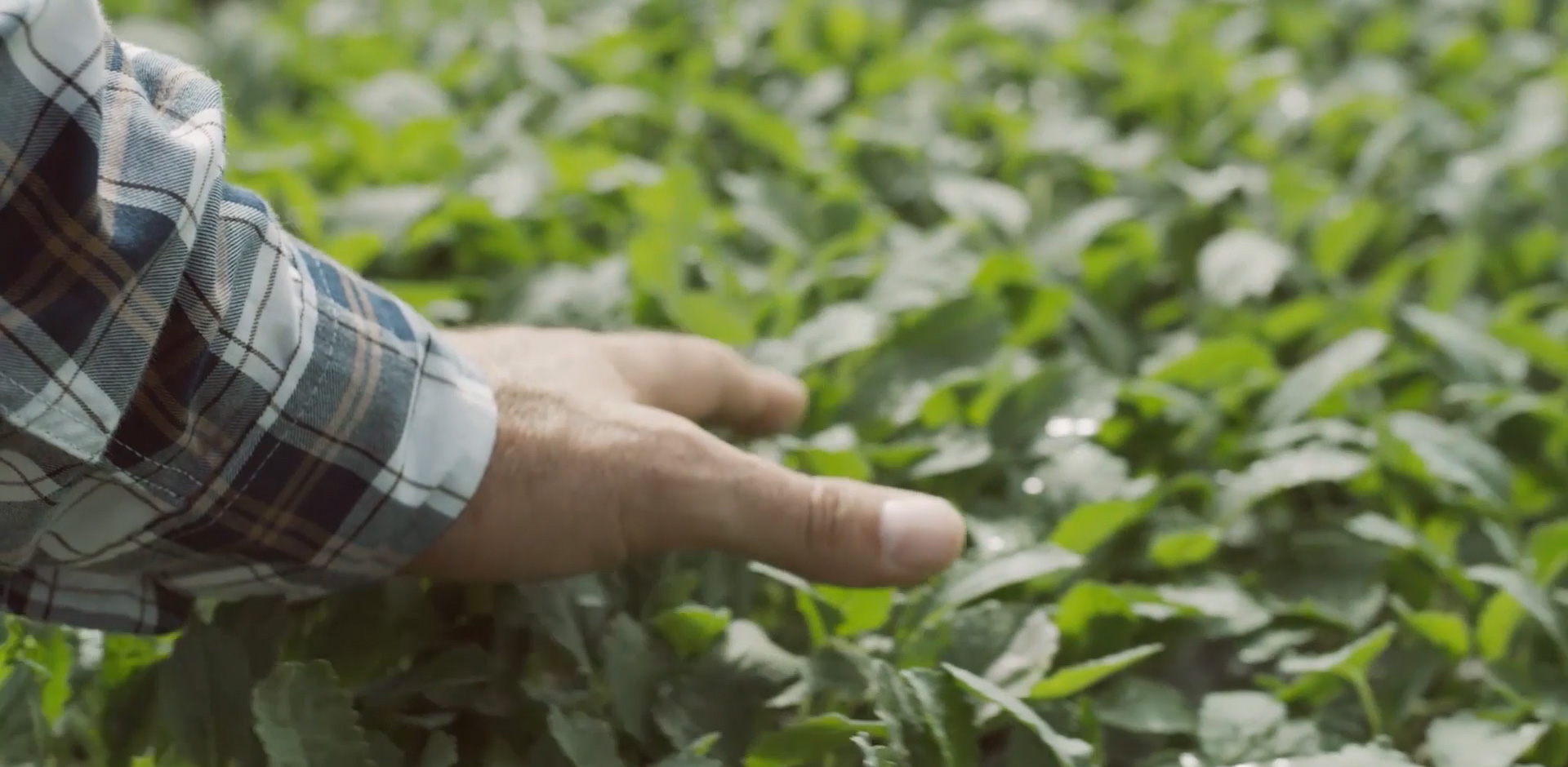 生物科技滋養生命 